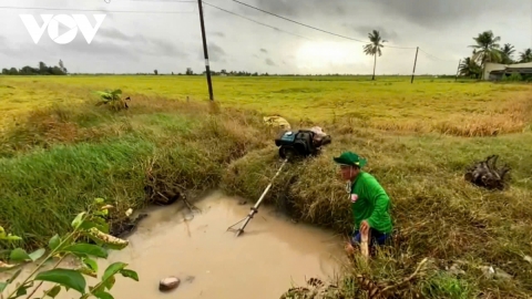 Bạc Liêu: Tăng cường công tác phòng chống ngập úng, triều cường, bảo vệ sản xuất nông nghiệp