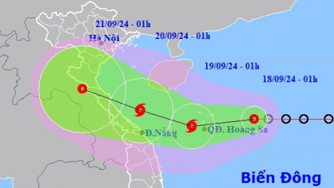 Quảng Bình tạm dừng hoạt động đánh bắt trên biển từ 0h ngày 19/9