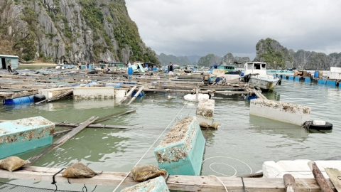 Quảng Ninh: Triển khai thực hiện chính sách khoanh nợ cho khách hàng vay vốn bị thiệt hại do cơn bão số 3