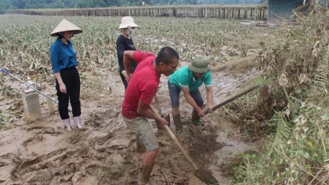 Lào Cai cần hỗ trợ 120 tấn lúa giống để khôi phục sản xuất bị thiệt hại do cơn bão số 3