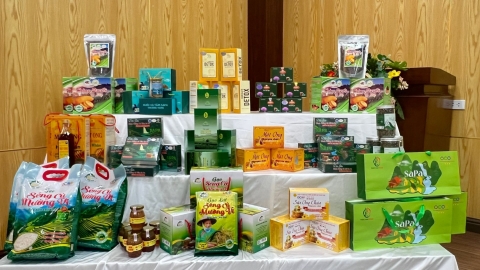 Thống nhất chính sách, nâng cao giá trị 605 sản phẩm OCOP tỉnh Lào Cai sau sáp nhập