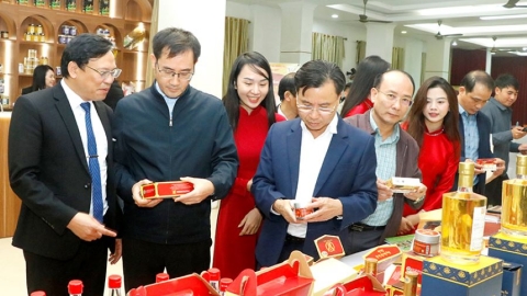 Hà Tĩnh đánh giá, phân hạng 9 sản phẩm OCOP đạt 4 sao năm 2025