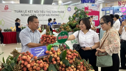 Hải Phòng: Đẩy mạnh ứng dụng thương mại điện tử trong quảng bá, tiêu thụ sản phẩm OCOP và đặc sản địa phương