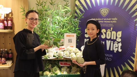 Lạng Sơn rà soát, nâng cao chất lượng và phát triển bền vững sản phẩm OCOP