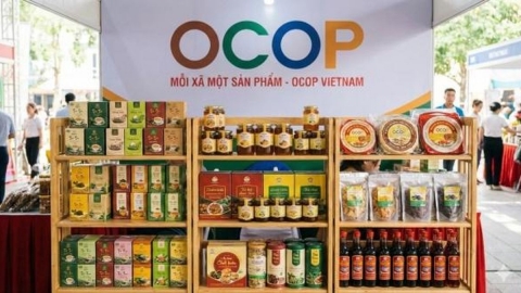 Thành lập hội đồng đánh giá phân hạng OCOP cấp Trung ương
