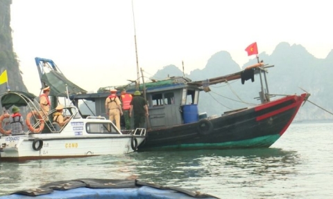 Công an thành phố Hạ Long kiên quyết xử lý các tàu cá "3 không"