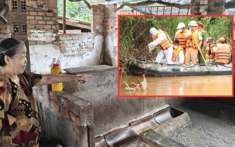 Xác heo chết trôi sông Đồng Nai: Nỗi lo dịch bệnh và những chuồng trại bỏ không