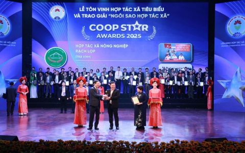 Gạo Rạch Lọp Tiểu Cần: Nâng tầm hạt gạo Việt từ sức mạnh kinh tế tập thể