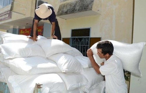 Hỗ trợ Bình Định hơn 1.100 tấn gạo