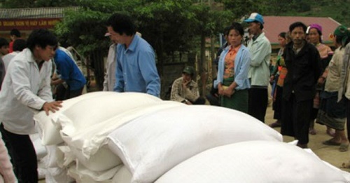 Hỗ trợ gạo cho công tác bảo vệ rừng