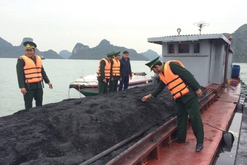 Hải Phòng: Bắt giữ hơn 200 tấn than vận chuyển trái phép