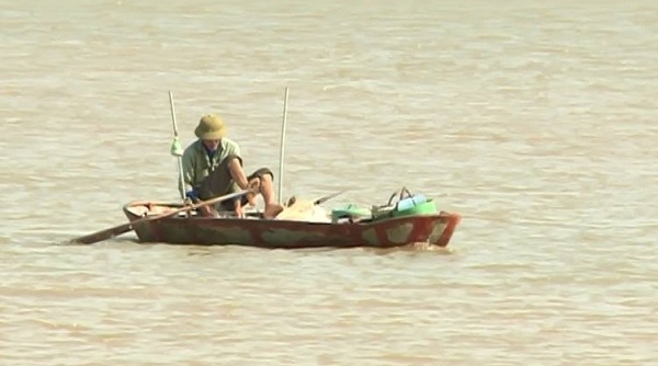 Hưng Yên: Nhộn nhịp vào mùa đánh bắt cá mòi trên sông Hồng