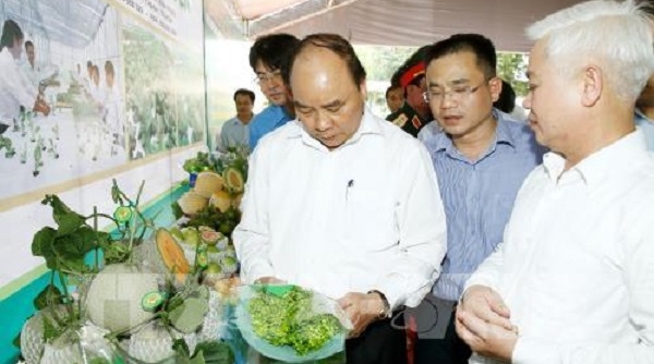 Sớm trình Thủ tướng về tiêu chí nông nghiệp công nghệ cao