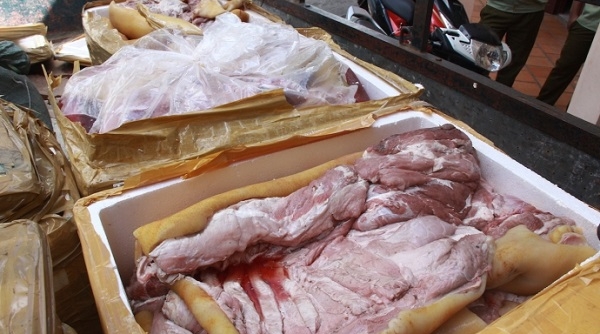 Bình Thuận: Thu giữ hơn 700 kg thịt lợn bốc mùi hôi thối