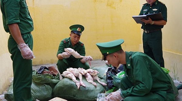 Lào Cai: Bắt giữ hơn 200 kg thực phẩm bẩn