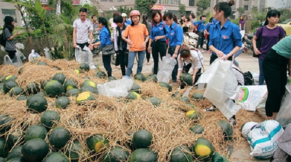 Nông sản Việt: Giải cứu… giải cứu!