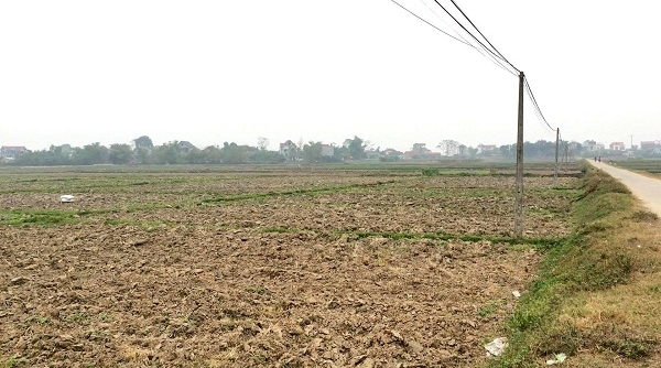 Huyện Hiệp Hòa (Bắc Giang): Thu hồi đất nông nghiệp của người dân rồi bỏ hoang suốt 10 năm?