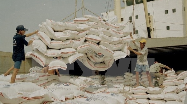 Việt Nam sẽ cung cấp cho Bangladesh 1 triệu tấn gạo mỗi năm