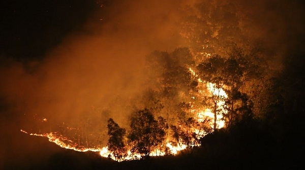 Khám nghiệm hiện trường vụ cháy rừng phòng hộ Sóc Sơn