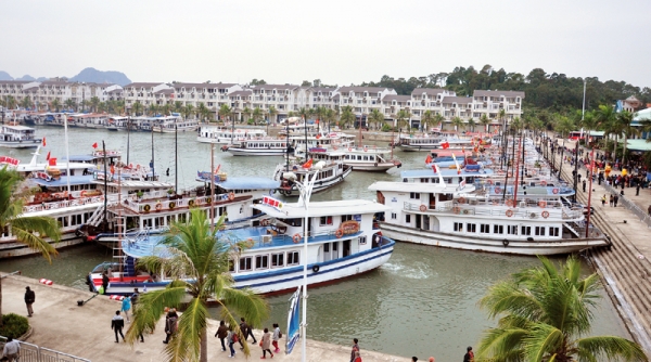 Quảng Ninh: Hơn 5.000 du khách mắc kẹt trên đảo do ảnh hưởng của bão số 2
