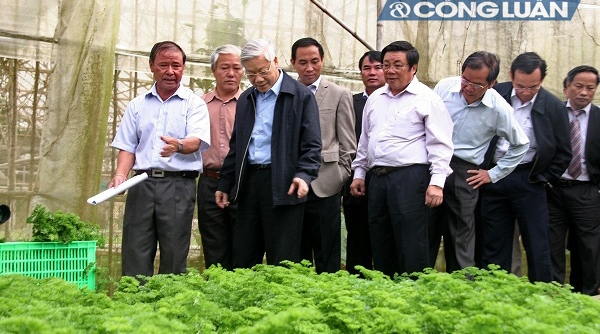 Hội nghị ứng dụng nông nghiệp công nghệ cao tại Lâm Đồng