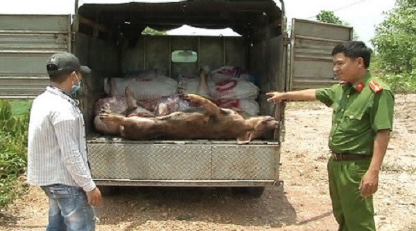 Đồng Nai: Tiêu hủy hơn 800 kg động vật không rõ nguồn gốc