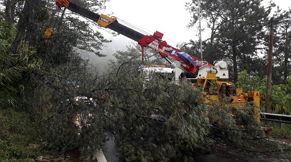 Lâm Đồng: Hai người tử vong, ít nhất 40 căn nhà bị tốc mái do bão số 12