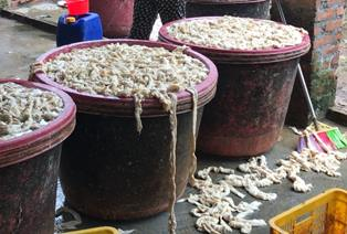 Hải Phòng: Cơ sở chế biến thực phẩm “bẩn” vẫn tái phạm