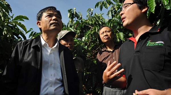 Nhiều giải pháp phát triển bền vững ngành cà phê Việt Nam