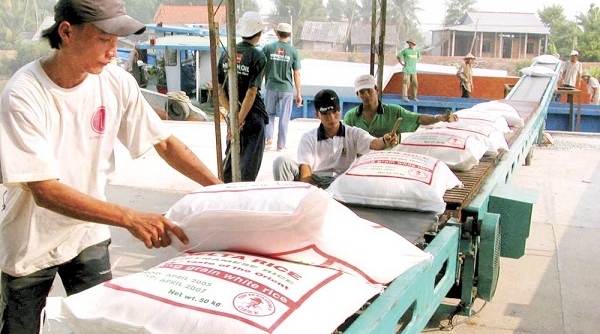 Hơn 800.000 tấn gạo đang tồn kho