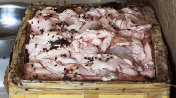 Bắc Ninh: Thu giữ gần 850 kg lòng lợn thối đang trên đường đi tiêu thụ