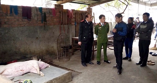 Phú Thọ: Phát hiện cơ sở giết mổ lợn chết bán ra thị trường