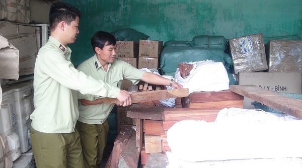 Quảng Nam: Bắt giữ xe tải chở gần 2 tấn gỗ hương, gỗ trắc không rõ nguồn gốc