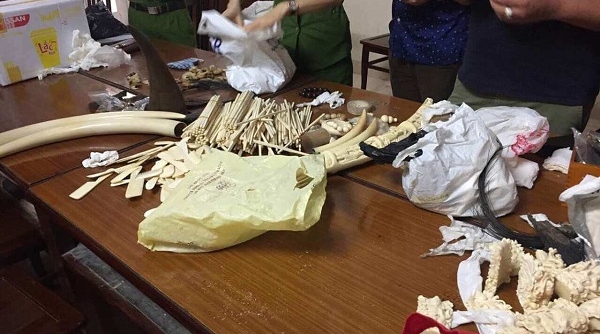 16 tổ chức bảo tồn cùng kêu gọi xét xử nghiêm minh “trùm” buôn lậu sừng tê giác