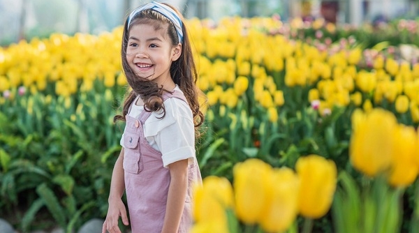 Ra mắt lễ hội Tulip lớn nhất Việt Nam Vinpearl Nha Trang