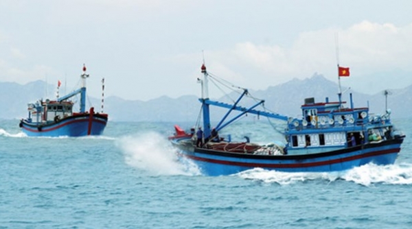 Công bố tuyến hàng hải và phân luồng giao thông trong lãnh hải Việt Nam