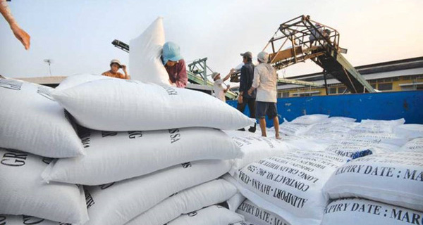 Xuất gạo dự trữ quốc gia cho tỉnh Cao Bằng