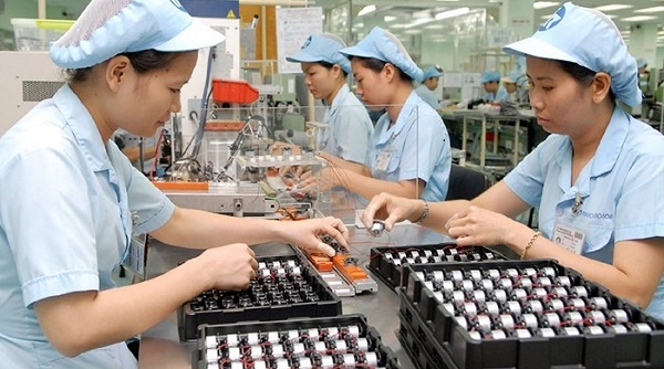 Kinh tế tư nhân Việt Nam trong nỗ lực vươn mình