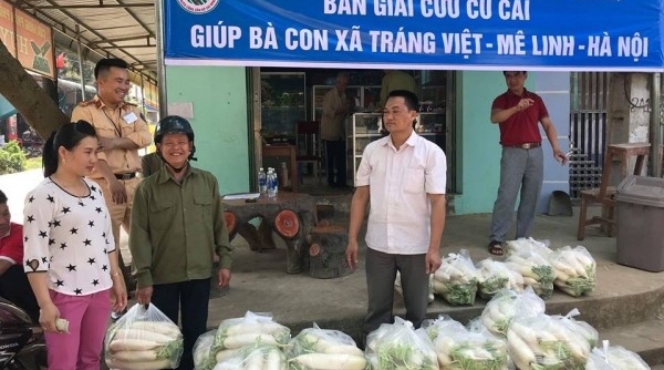 Đội CSGT 11 giúp bà con xã Tráng Việt giải cứu củ cải