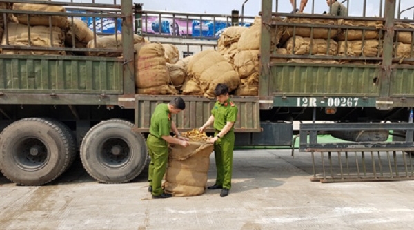 Lạng Sơn: Thu giữ hơn 8.000 kg thuốc lá sấy khô, không rõ nguồn gốc