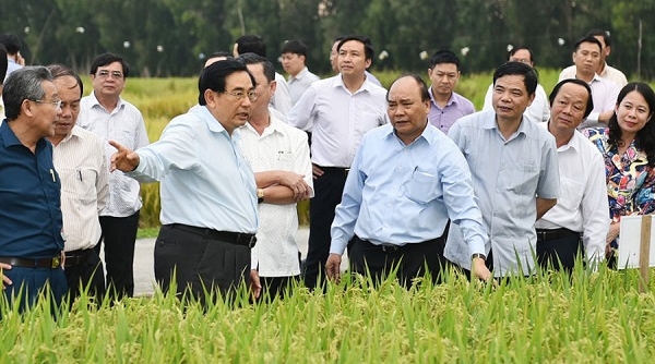 Hôm nay, Thủ tướng đối thoại với nông dân tại Hải Dương