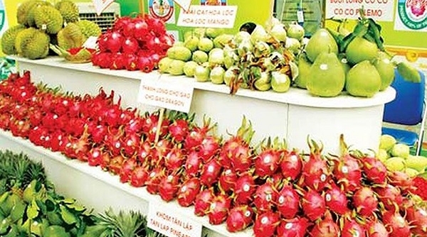 Trái cây Việt Nam: Kỳ vọng xuất khẩu đạt kim ngạch 10 tỷ USD