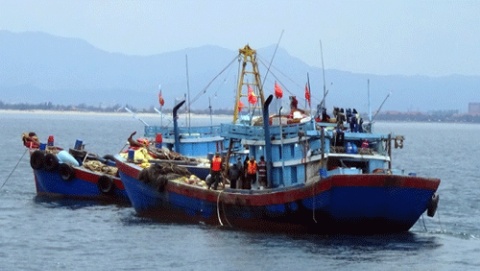 Quảng Bình: xử phạt gần 50 triệu đồng hai tàu giã cào tận diệt hải sản