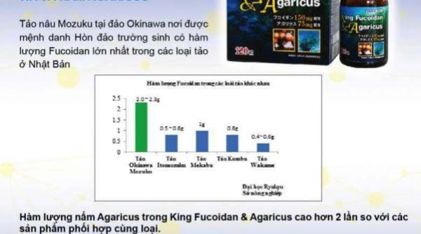 Công ty CP Dược phẩm Cysina quảng cáo TPCN King Fucoidan & Agaricus như “thần dược”?