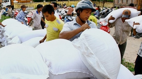 Hỗ trợ hơn 900 tấn gạo cho tỉnh Thanh Hóa và Yên Bái