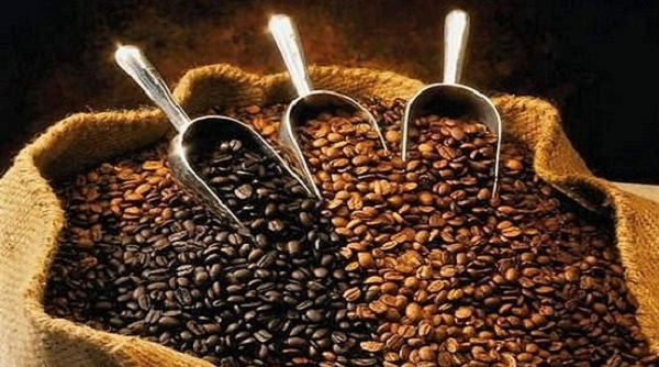 Gia Lai: Tăng cường giám sát các cơ sở sản xuất, chế biến cà phê