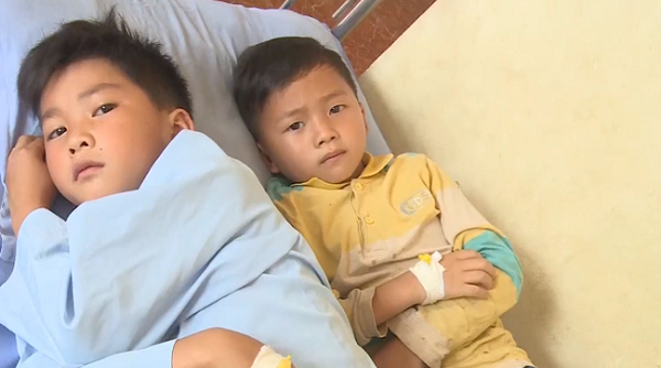 Phát hiện trực khuẩn thương hàn trong vụ hơn 300 người ngộ độc tại Sơn La