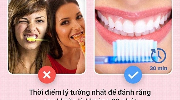 Những sai lầm khi đánh rang gây tổn hại rang lợi ngày một yếu hơn
