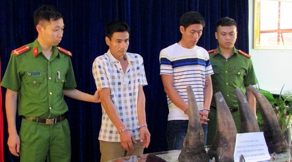 Lào Cai: Bắt 2 đối tượng vận chuyển 20kg sừng tê giác
