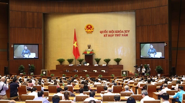 Bộ trưởng Trần Hồng Hà: Không có người nước ngoài mua đất đặc khu
